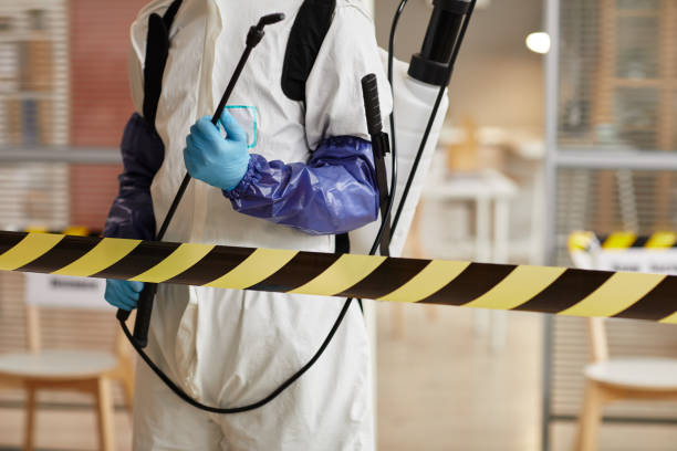 Professional Sewage Cleanup technician working in Meadow Grove, NE